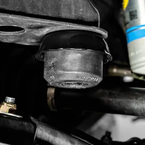 Active Off-Road Front Bump Stops Tacoma (2016-2023) Active Off-Road Front Bump Stops Tacoma (2016-2023)