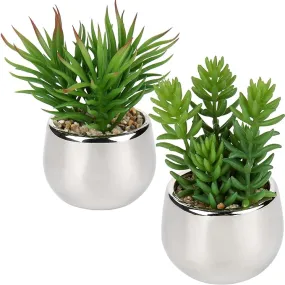 Artificial Silver Pot Plant Artificial Silver Pot Plant