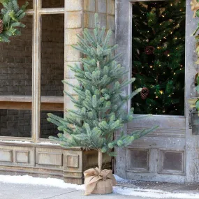 Burlap Wrap Blue Spruce Tree Burlap Wrap Blue Spruce Tree