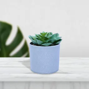 Mini Artificial Plant/Flower in Fiber Pot/Planter Mini Artificial Plant/Flower in Fiber Pot/Planter